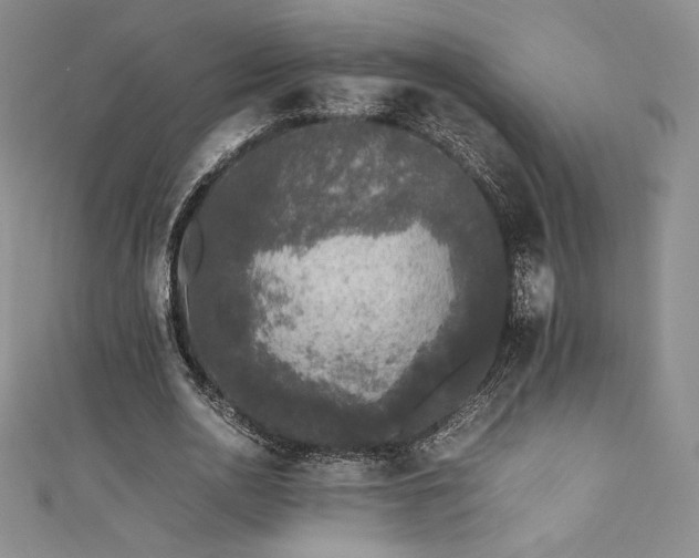 X0000111530726200907141527