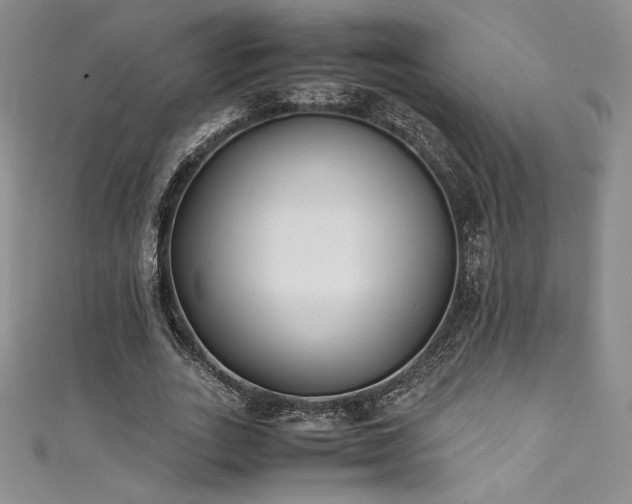 X0000111530727200907141527