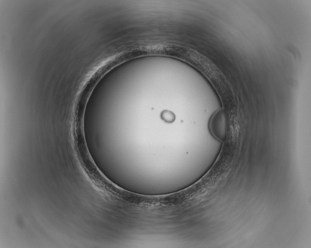 X0000111530728200907141527