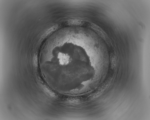 X0000111530729200907141527