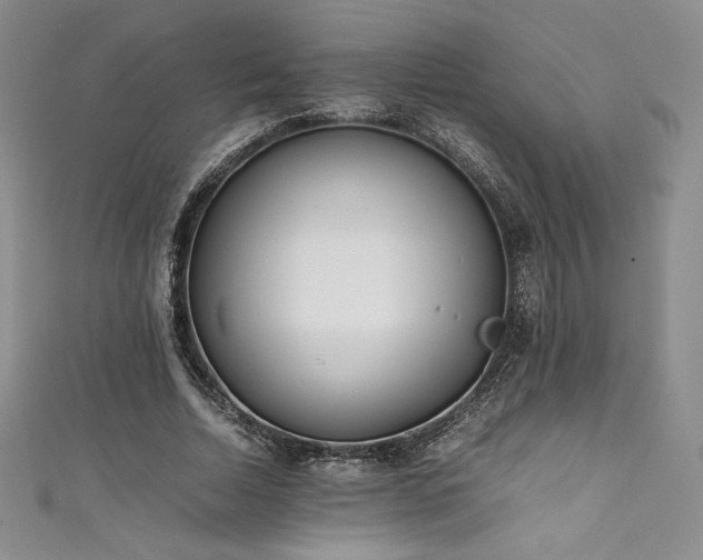 X0000111530730200907141527