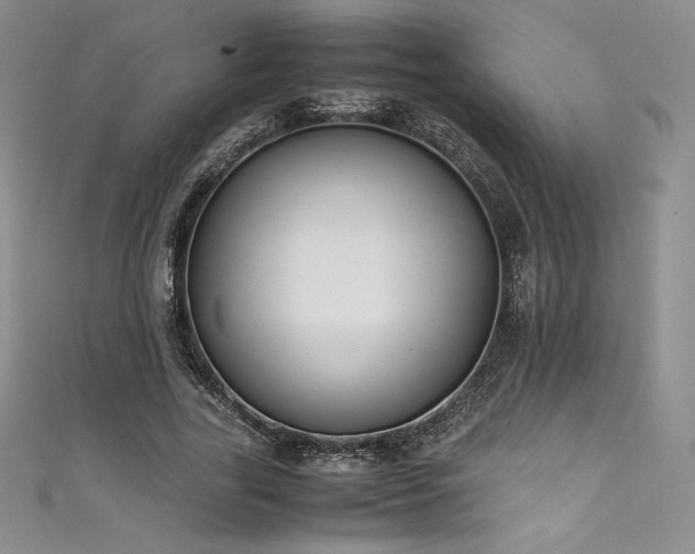 X0000111530731200907141527