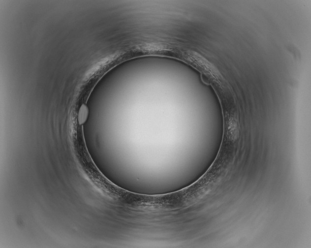 X0000111530732200907141527