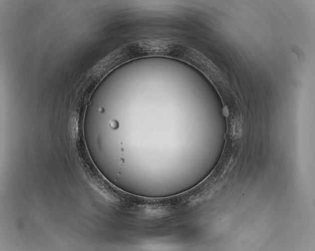 X0000111530733200907141528