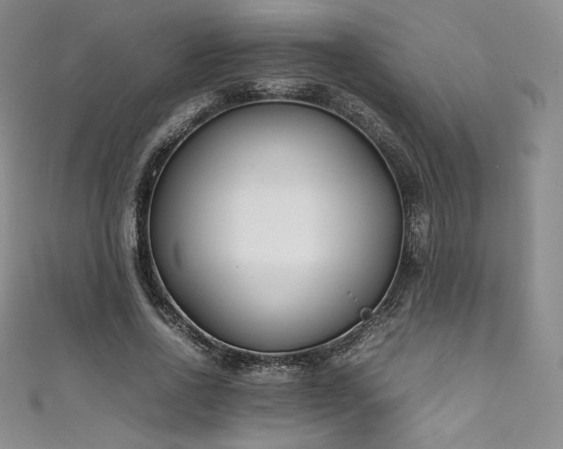 X0000111530734200907141528