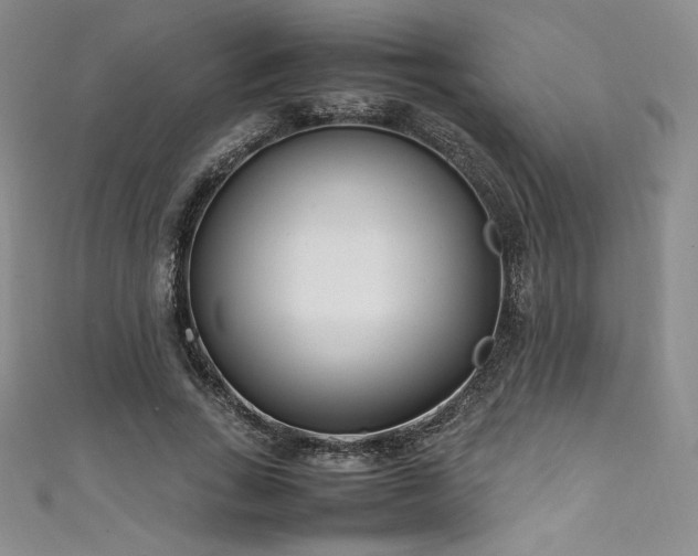 X0000111530735200907141528