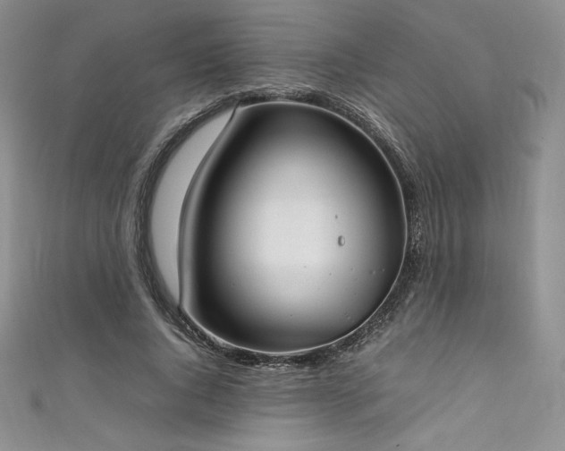 X0000111530736200907141528