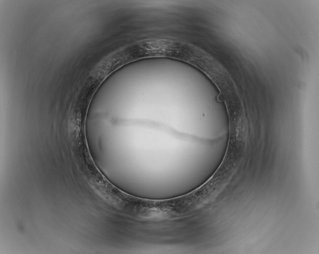 X0000111530737200907141528