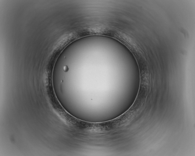 X0000111530738200907141528