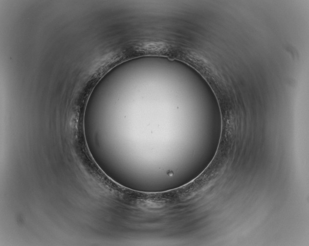 X0000111530739200907141528