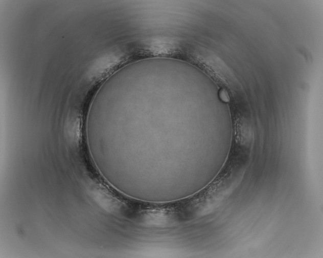 X0000111530740200907141528