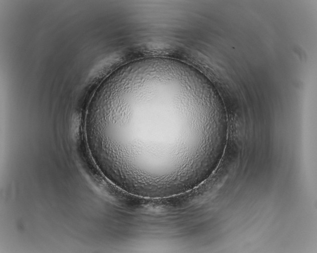 X0000111530742200907141528