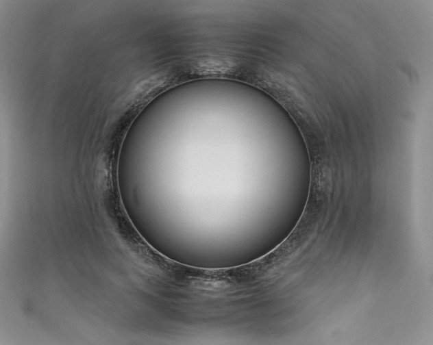 X0000111530743200907141528