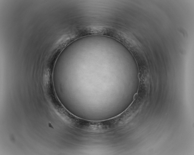 X0000111530744200907141528