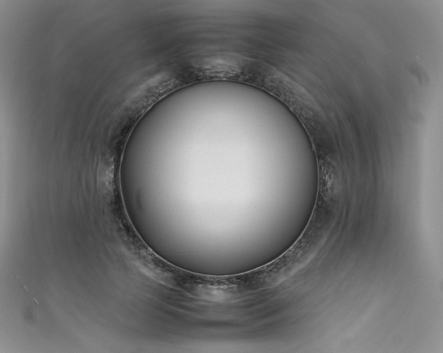 X0000111530745200907141528