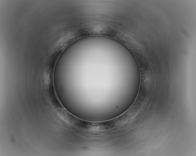 X0000111530746200907141528