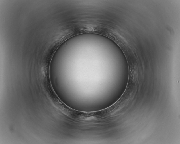 X0000111530747200907141528