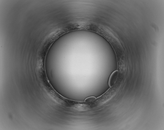 X0000111530748200907141528