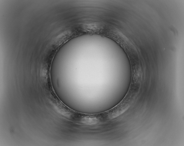 X0000111530749200907141528