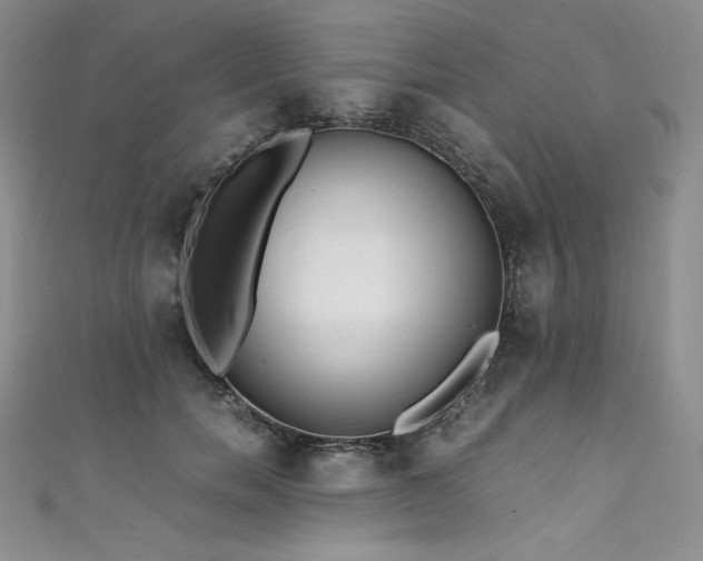 X0000111530750200907141528