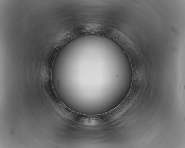 X0000111530751200907141528