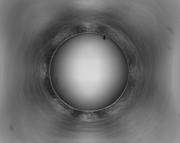 X0000111530752200907141528