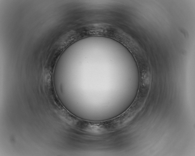 X0000111530753200907141528