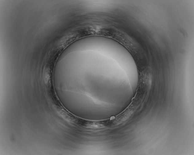 X0000111530754200907141528