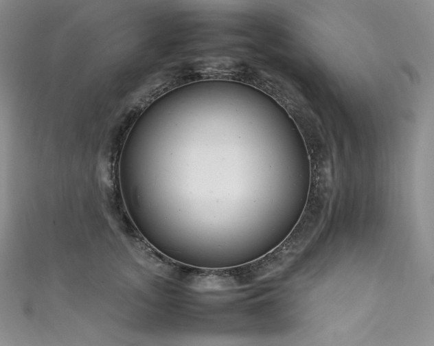 X0000111530755200907141528