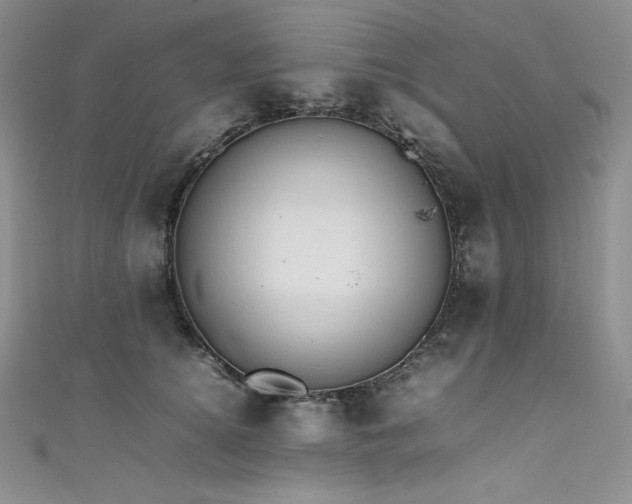 X0000111530756200907141528