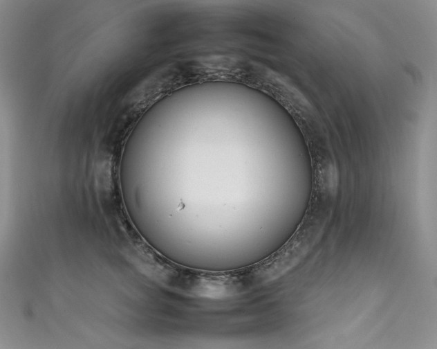 X0000111530757200907141528