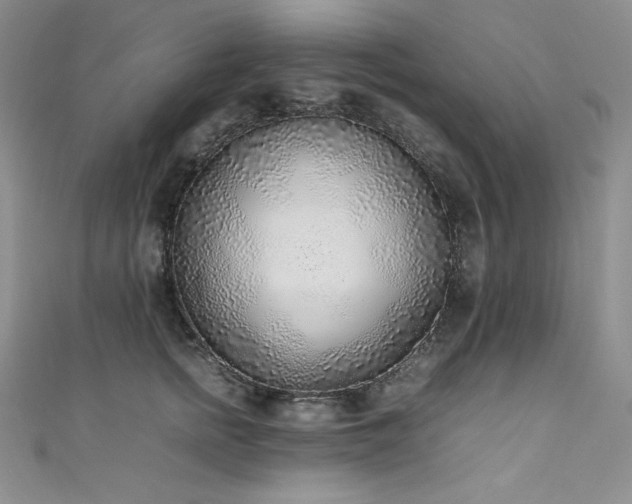 X0000111530758200907141528