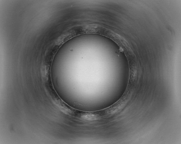 X0000111530759200907141528