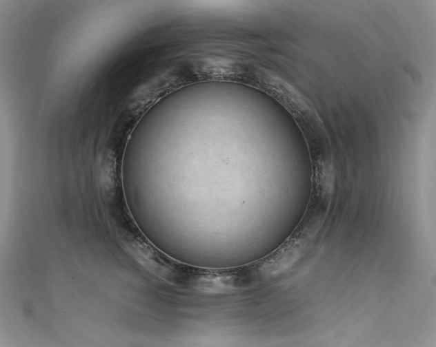 X0000111530760200907141528