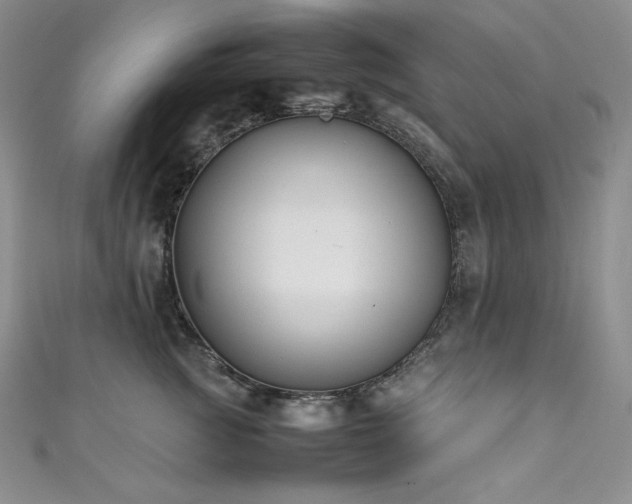 X0000111530761200907141528