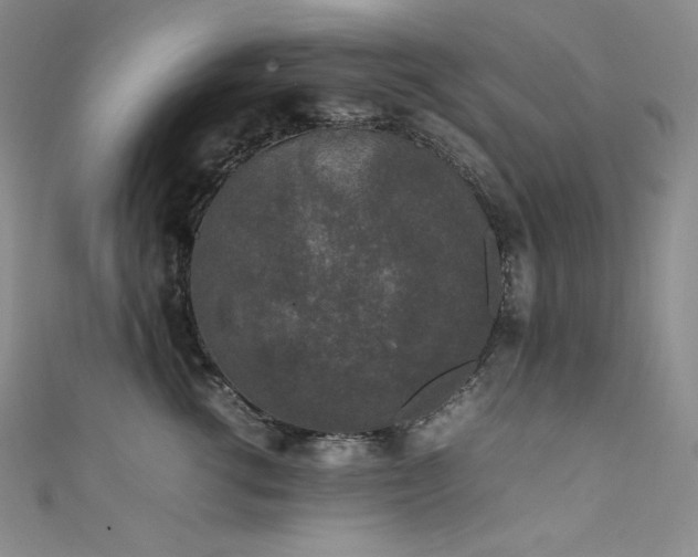 X0000111530762200907141528