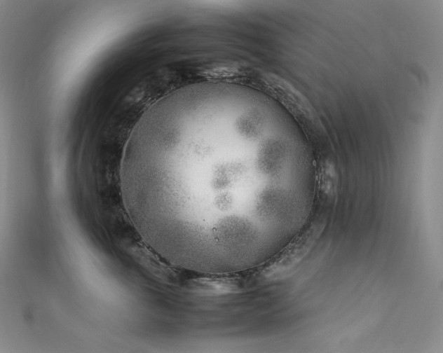 X0000111530763200907141528