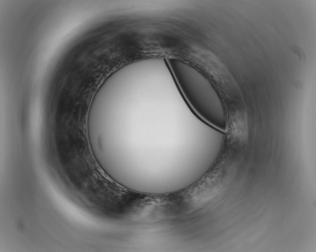 X0000111530764200907141528