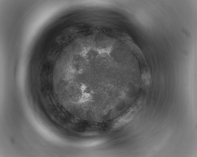 X0000111530765200907141528