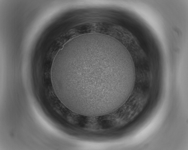 X0000111530766200907141528