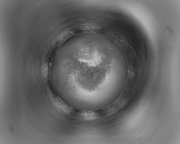 X0000111530767200907141528