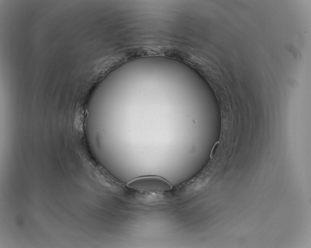 X0000111530768200907141528