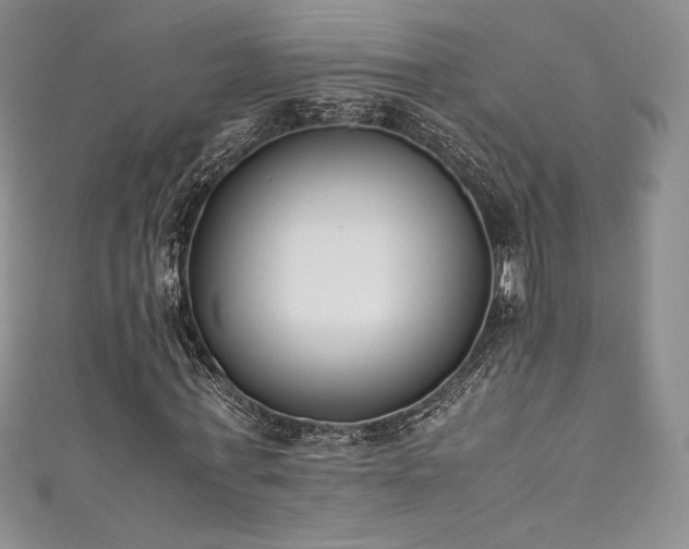 X0000111530771200907141527