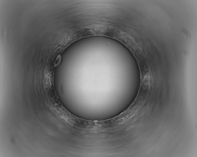 X0000111530772200907141527