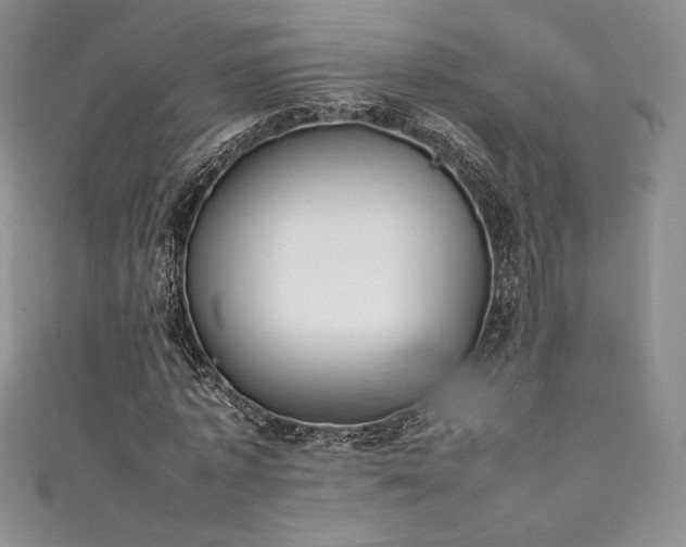 X0000111530773200907141527