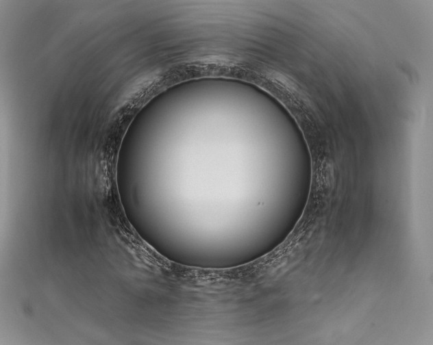 X0000111530774200907141527