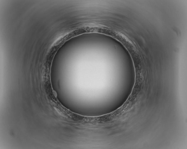 X0000111530775200907141527