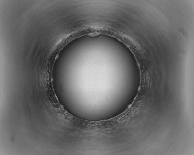 X0000111530776200907141527