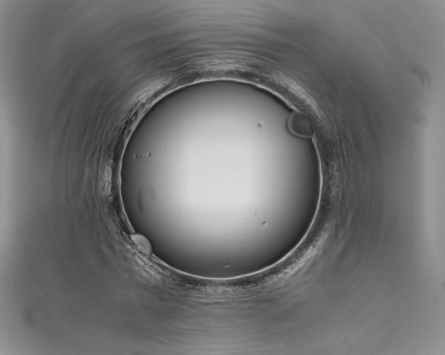 X0000111530777200907141527