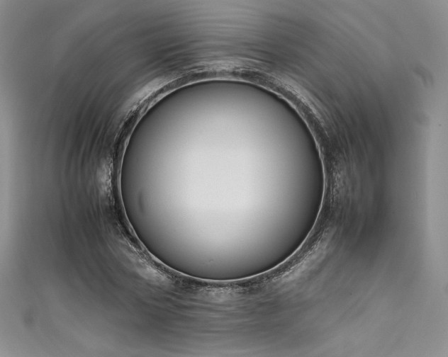 X0000111530778200907141527